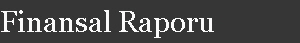 Finansal Raporu